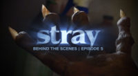 An inside look at the special effects makeup used on Fat Foot Films newest short film “Stray”.