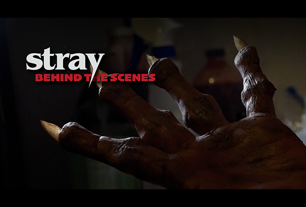 Inside the Chaos: Making Our Monster Movie This behind-the-scenes segment dives into the chaotic, hilarious, and wildly improvised process of casting and producing a Fat Foot Films monster movie. From [&hellip;]